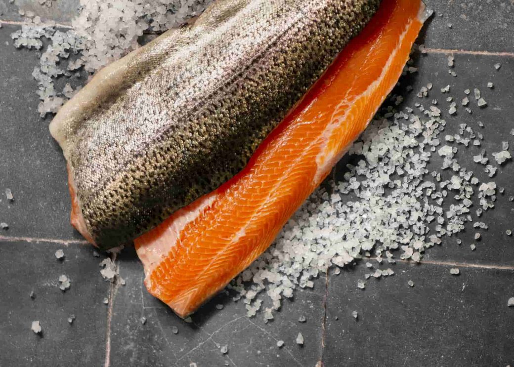 Peixes de água salgada: características e sabor
