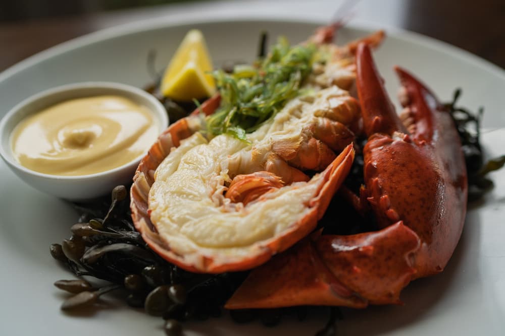 Lagosta: gastronomia de alto padrão no Tatuapé