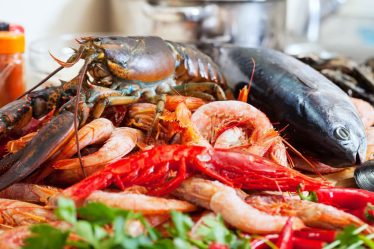 Principais benefícios de comer frutos do mar
