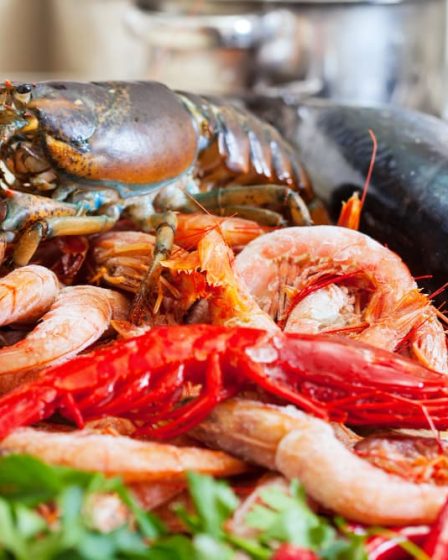 Principais benefícios de comer frutos do mar