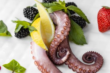 Onde comer polvo na zona leste: conheça as características desse prato