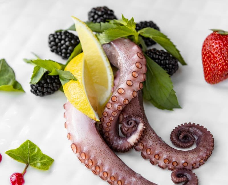 Onde comer polvo na zona leste: conheça as características desse prato